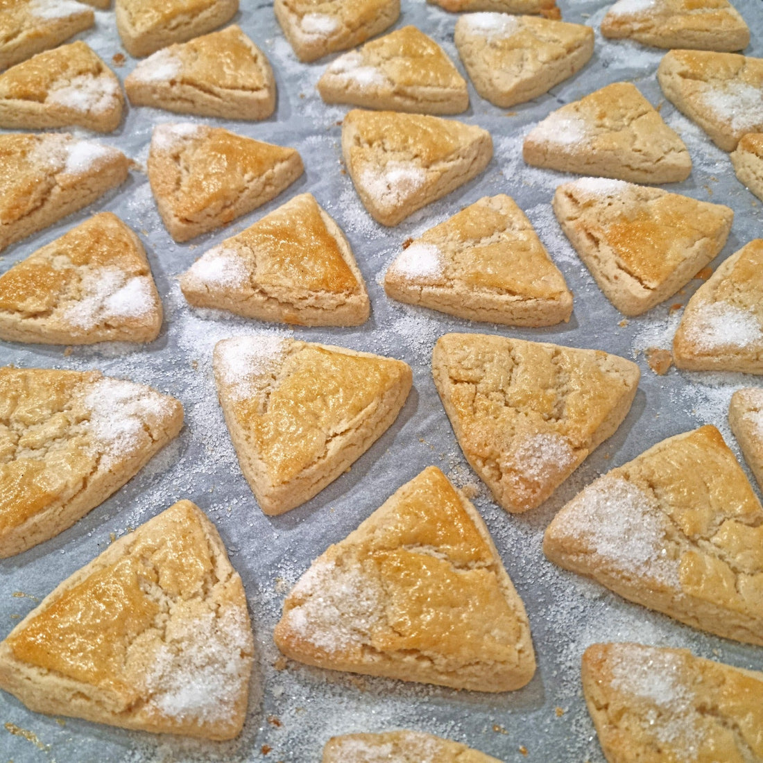 Fontañinas: Pastas Artesanales con Alma de Futuro